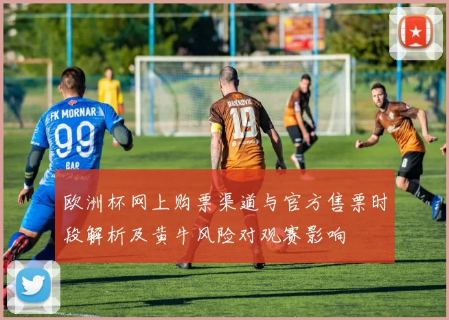 欧洲杯网上购票渠道与官方售票时段解析及黄牛风险对观赛影响