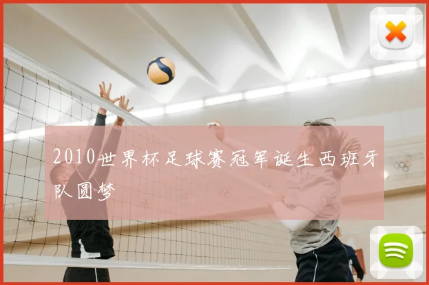 2010世界杯足球赛冠军诞生西班牙队圆梦