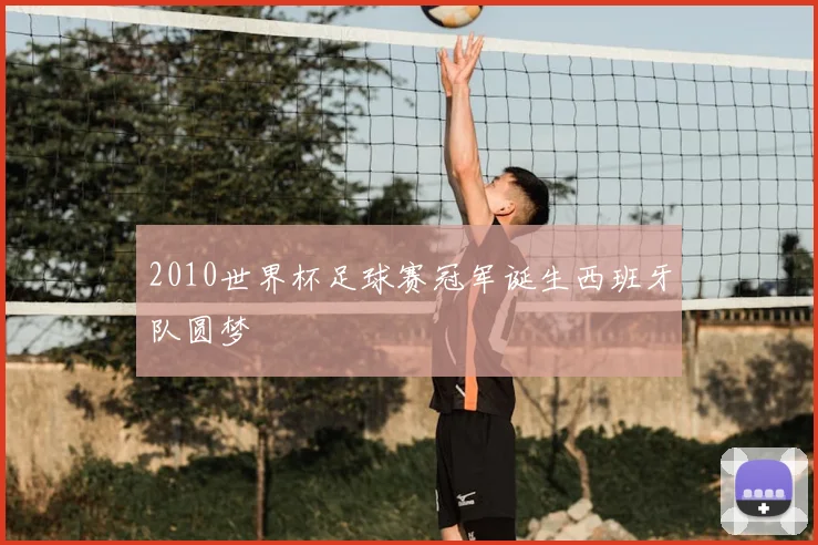 2010世界杯足球赛冠军诞生西班牙队圆梦
