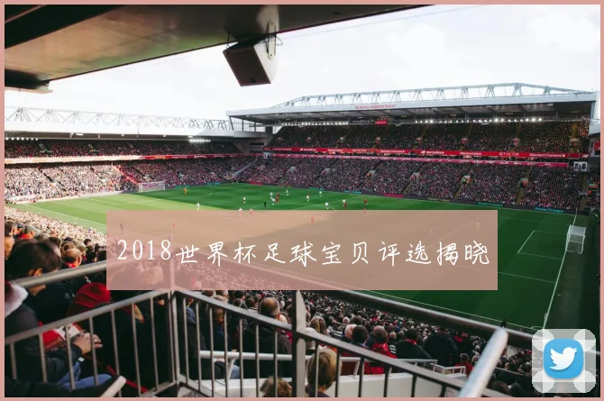 2018世界杯足球宝贝评选揭晓